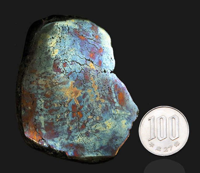 ベリーレア！黄鉄鉱の上に遊色層が存在する、非常に珍しいアフリカ産の鉱石、その名もレインボーパイライト（Rainbow pyrite）（その10）