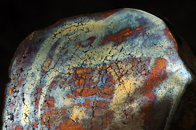 ベリーレア！黄鉄鉱の上に遊色層が存在する、非常に珍しいアフリカ産の鉱石、その名もレインボーパイライト（Rainbow pyrite）（その2）