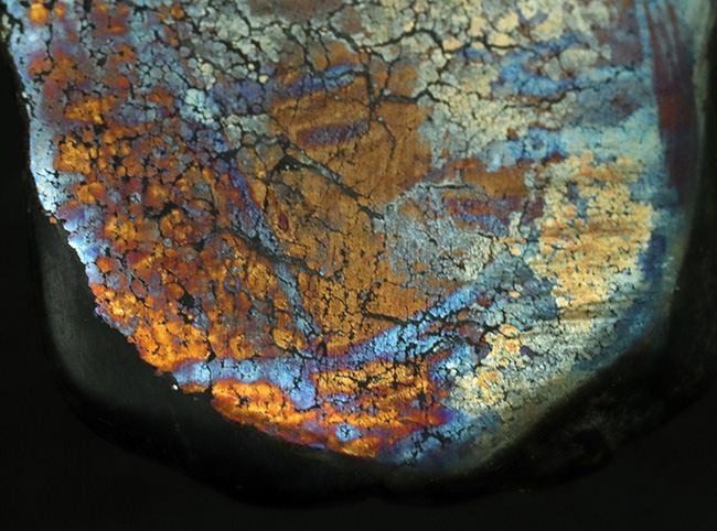 ベリーレア！黄鉄鉱の上に遊色層が存在する、非常に珍しいアフリカ産の鉱石、その名もレインボーパイライト（Rainbow pyrite）（その3）