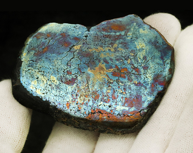 ベリーレア！黄鉄鉱の上に遊色層が存在する、非常に珍しいアフリカ産の鉱石、その名もレインボーパイライト（Rainbow pyrite）（その5）