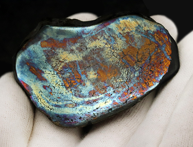 ベリーレア！黄鉄鉱の上に遊色層が存在する、非常に珍しいアフリカ産の鉱石、その名もレインボーパイライト（Rainbow pyrite）（その7）