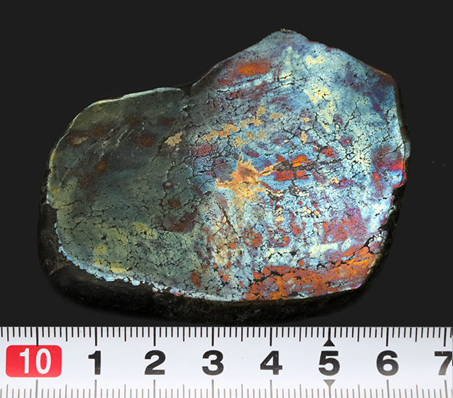 ベリーレア！黄鉄鉱の上に遊色層が存在する、非常に珍しいアフリカ産の鉱石、その名もレインボーパイライト（Rainbow pyrite）（その9）