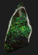 グリーンドラゴン！非常に鮮やかなエメラルドグリーンを呈する、宝石、アンモライト（Ammolite）のピース
