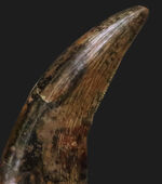 お客様の声　写真