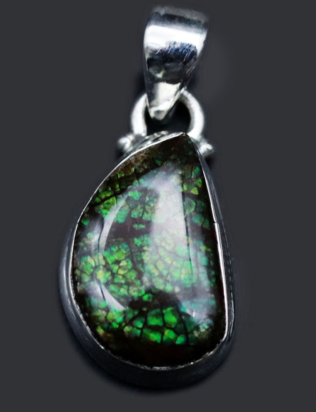 煌くグリーンが特徴。カナダ産アルバータ州産アンモライト(Ammolite)のペンダントトップ。金具はスターリングシルバー。チェーン、革紐、ジュエリーケース付き(その1)