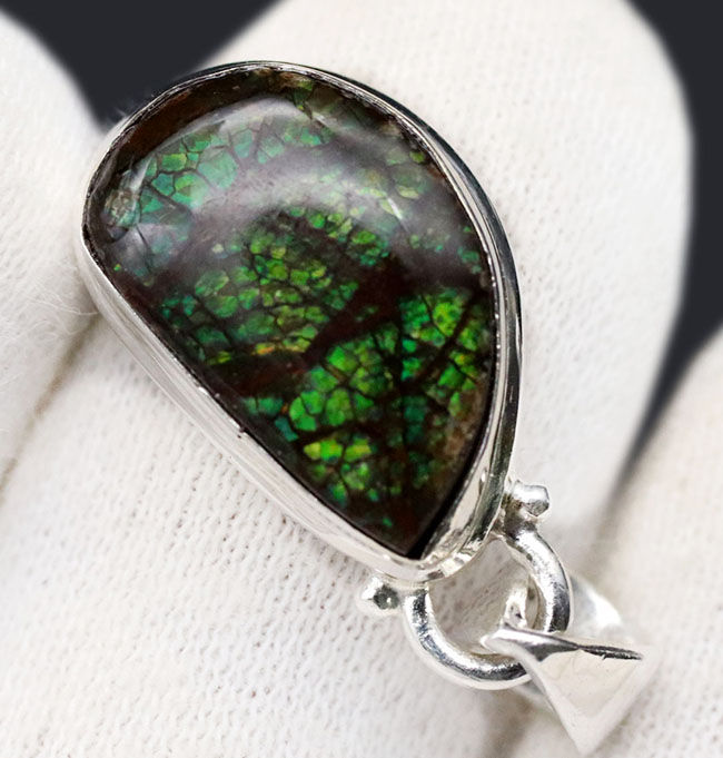 煌くグリーンが特徴。カナダ産アルバータ州産アンモライト(Ammolite)のペンダントトップ。金具はスターリングシルバー。チェーン、革紐、ジュエリーケース付き(その2)