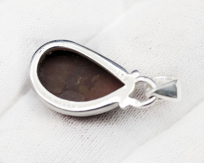 煌くグリーンが特徴。カナダ産アルバータ州産アンモライト(Ammolite)のペンダントトップ。金具はスターリングシルバー。チェーン、革紐、ジュエリーケース付き(その6)