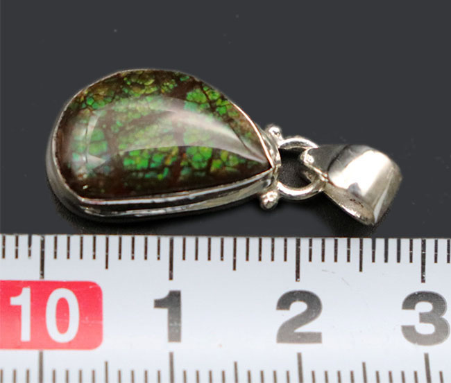 煌くグリーンが特徴。カナダ産アルバータ州産アンモライト（Ammolite）のペンダントトップ。金具はスターリングシルバー。チェーン、革紐、ジュエリーケース付き（その7）