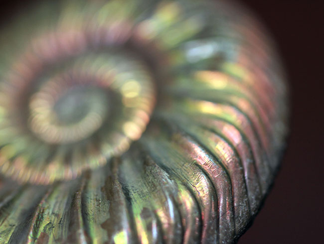 thumbnail2.webp