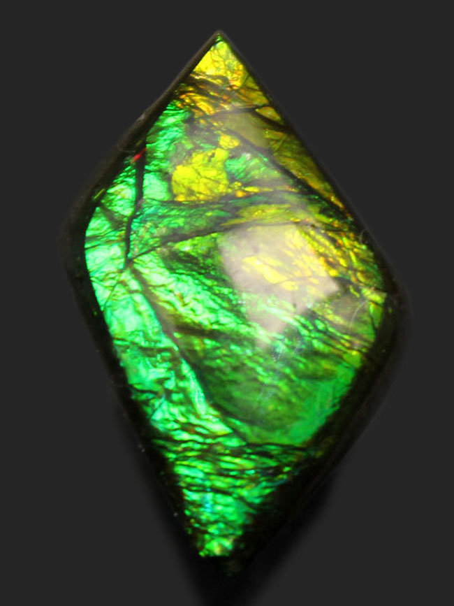 新緑を思わせる、美しい緑を呈するアンモライト（Ammolite）のピースを使ったピンブローチ（その1）