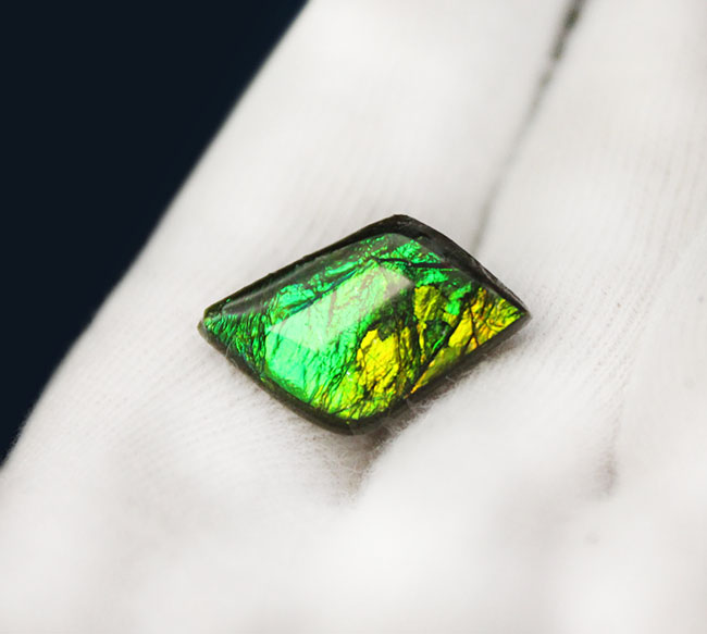 新緑を思わせる、美しい緑を呈するアンモライト(Ammolite)のピースを使ったピンブローチ(その2)