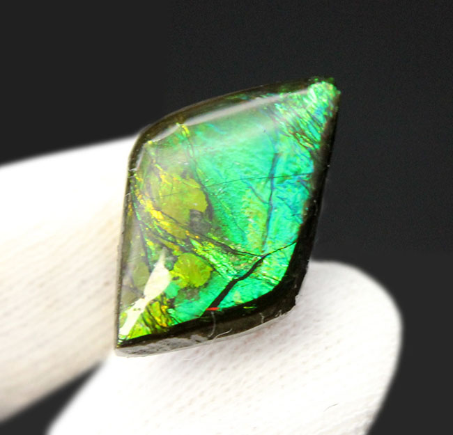 新緑を思わせる、美しい緑を呈するアンモライト（Ammolite）のピースを使ったピンブローチ（その3）