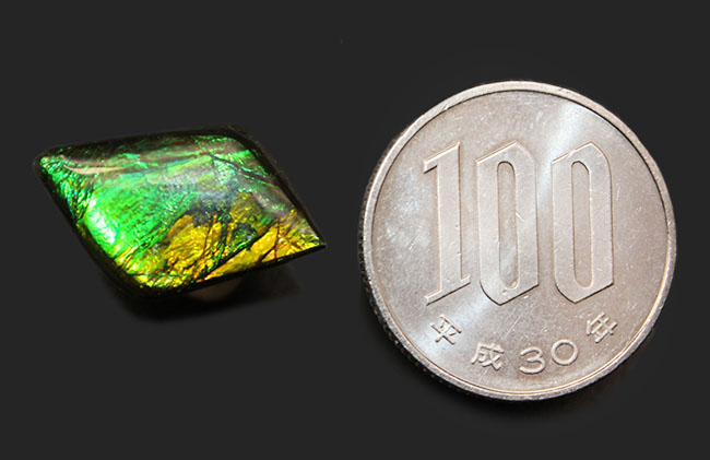 新緑を思わせる、美しい緑を呈するアンモライト（Ammolite）のピースを使ったピンブローチ（その5）