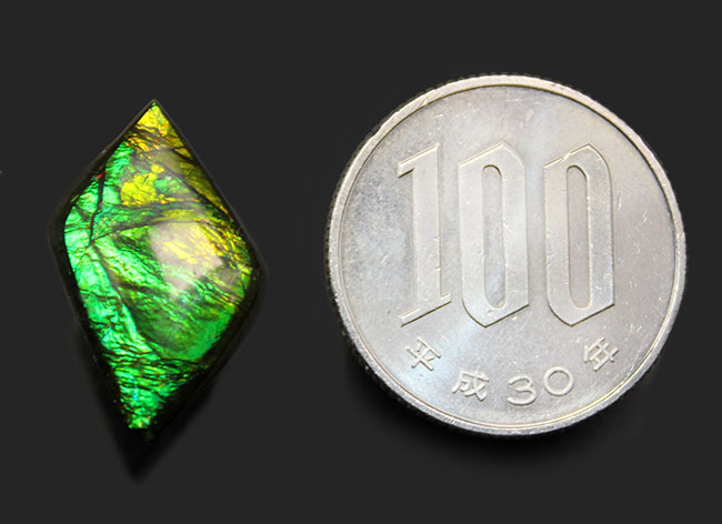 新緑を思わせる、美しい緑を呈するアンモライト（Ammolite）のピースを使ったピンブローチ（その6）