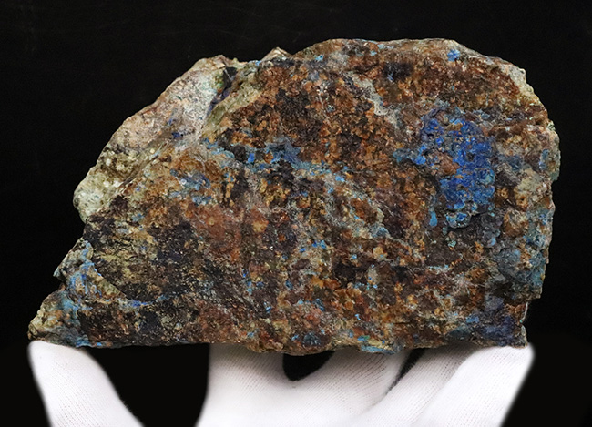 自然産状を色濃く残すビッグサイズ標本！メキシコ・チワワ州産 アズライト（Azurite・藍銅鉱）原石（その4）