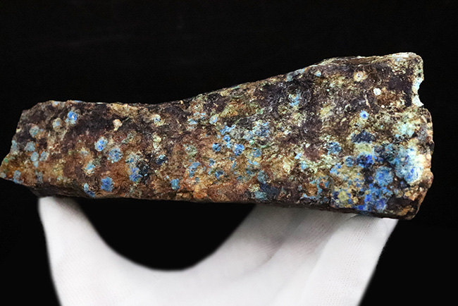 自然産状を色濃く残すビッグサイズ標本！メキシコ・チワワ州産 アズライト（Azurite・藍銅鉱）原石（その6）