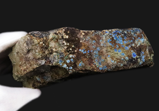 自然産状を色濃く残すビッグサイズ標本！メキシコ・チワワ州産 アズライト（Azurite・藍銅鉱）原石（その7）