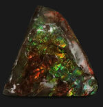 カナダ・アルバータ州の公式の宝石として知られる、アンモライト（Ammolite）の三角形のピース
