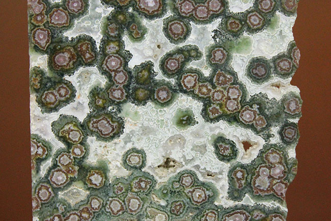 ジャスパー製カモノハシ 鴨嘴 天然石彫刻品 置物 コレクター品 精巧