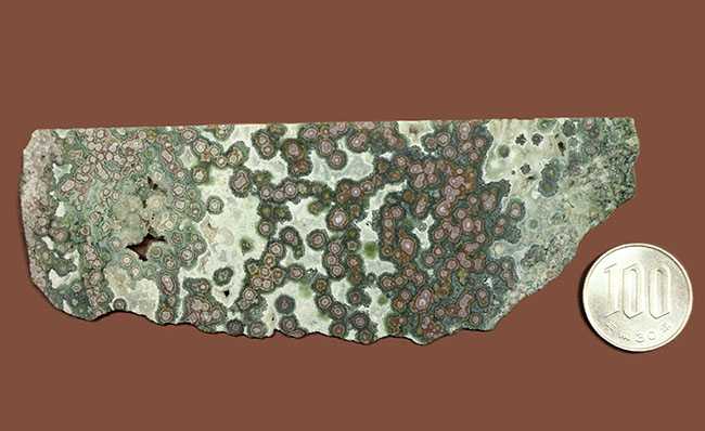 自然石 碧玉 オーシャンジャスパー オーシャン ジャスパー 3◇Ocean jasper 碧玉 握り石 天然石 鉱物 | Pay ID