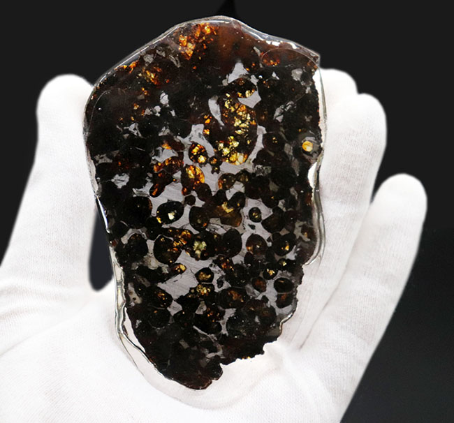 透明度の高いかんらん石が作り出す黄金の輝き！ケニヤ・セリコ産、２０１６年に発見された新しいパラサイト隕石（本体防錆処理済み）（その3）