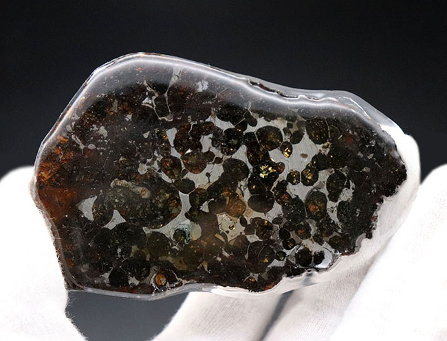 透明度の高いかんらん石が作り出す黄金の輝き！ケニヤ・セリコ産、２０１６年に発見された新しいパラサイト隕石（本体防錆処理済み）（その4）