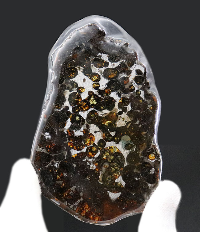 透明度の高いかんらん石が作り出す黄金の輝き！ケニヤ・セリコ産、２０１６年に発見された新しいパラサイト隕石（本体防錆処理済み）（その5）