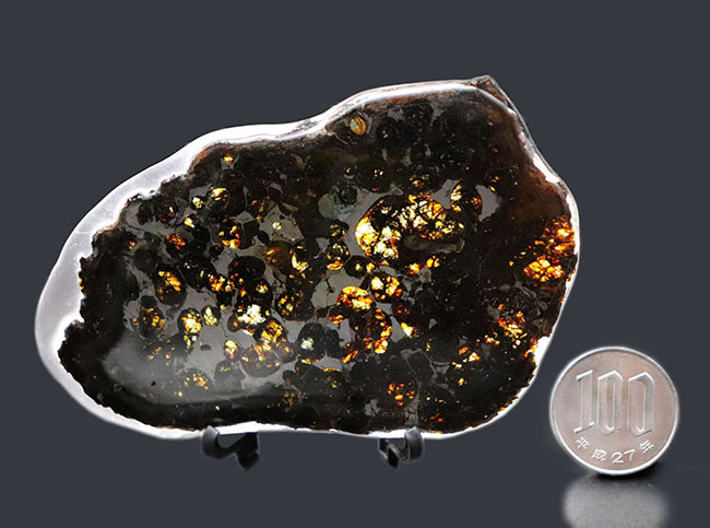 透明度の高いかんらん石が作り出す黄金の輝き！ケニヤ・セリコ産、２０１６年に発見された新しいパラサイト隕石（本体防錆処理済み）（その9）