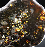 透明度の高いかんらん石が作り出す黄金の輝き！ケニヤ・セリコ産、２０１６年に発見された新しいパラサイト隕石（本体防錆処理済み）
