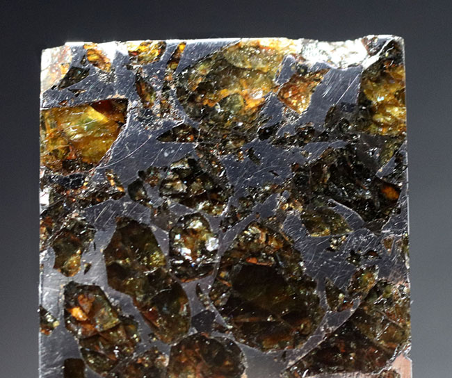 世界で最も美しくユニークな隕石、宇宙より飛来したロマンの塊！石鉄隕石、ブラヒン・パラサイト（その2）