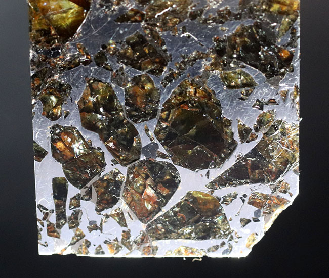 世界で最も美しくユニークな隕石、宇宙より飛来したロマンの塊！石鉄隕石、ブラヒン・パラサイト（その4）