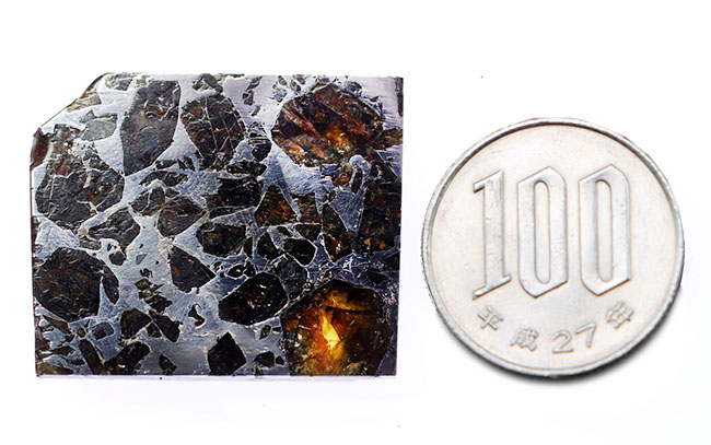世界で最も美しくユニークな隕石、宇宙より飛来したロマンの塊！石鉄隕石、ブラヒン・パラサイト（その8）