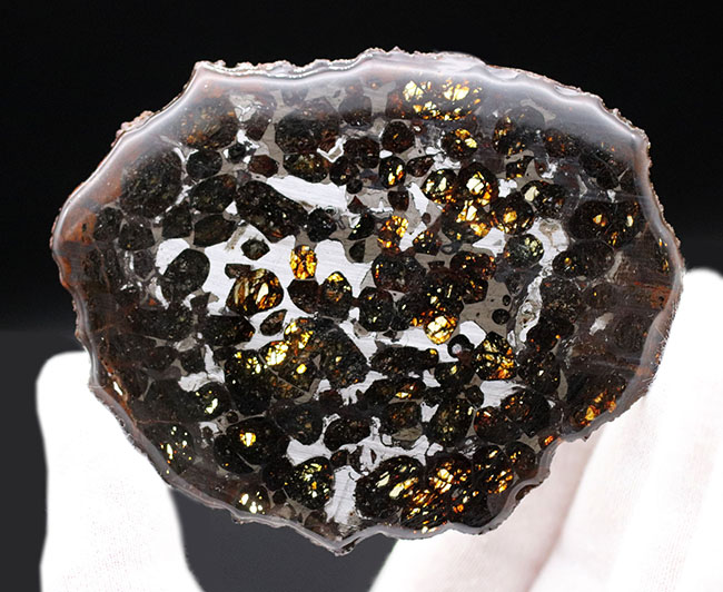 9センチのラージサイズ！高品位のかんらん石が内包されたケニヤ産の