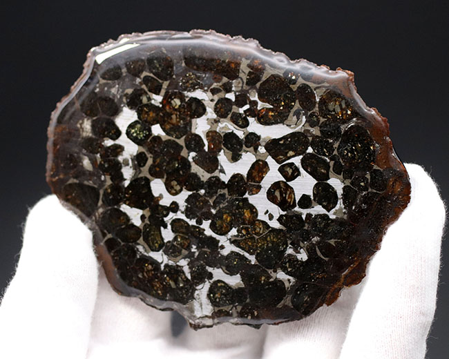 ９センチのラージサイズ！高品位のかんらん石が内包されたケニヤ産のパラサイト隕石（本体防錆処理済み）（その8）