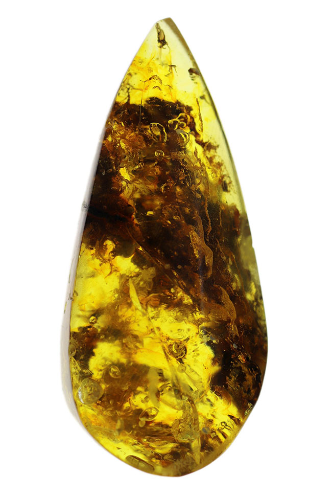 4000万年前の植物片や気泡を内包した、透明度の高いバルト海産琥珀(Amber)。美しい琥珀色を呈します(その1)