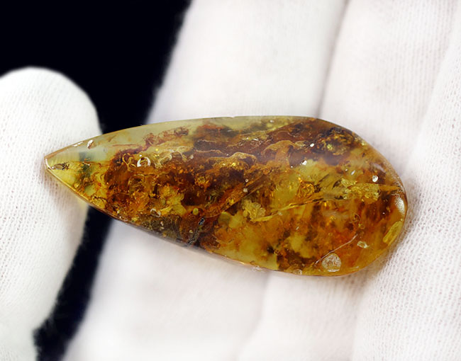 ４０００万年前の植物片や気泡を内包した、透明度の高いバルト海産琥珀（Amber）。美しい琥珀色を呈します（その10）