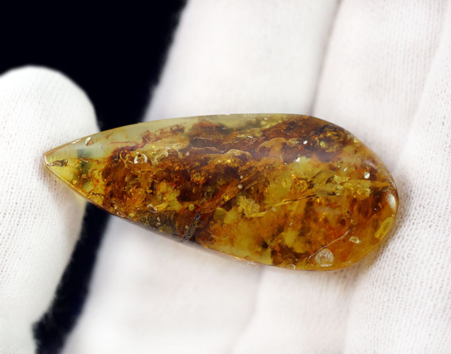 4000万年前の植物片や気泡を内包した、透明度の高いバルト海産琥珀(Amber)。美しい琥珀色を呈します(その10)