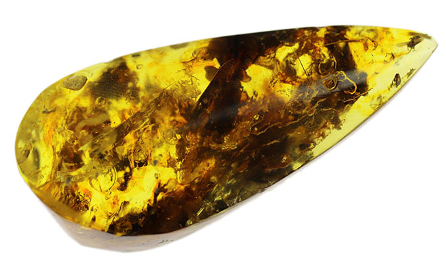 4000万年前の植物片や気泡を内包した、透明度の高いバルト海産琥珀(Amber)。美しい琥珀色を呈します(その11)