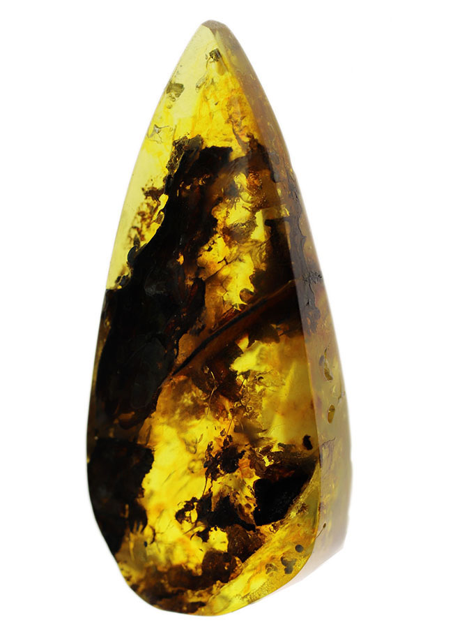 4000万年前の植物片や気泡を内包した、透明度の高いバルト海産琥珀(Amber)。美しい琥珀色を呈します(その2)