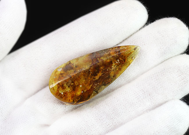 ４０００万年前の植物片や気泡を内包した、透明度の高いバルト海産琥珀（Amber）。美しい琥珀色を呈します（その3）