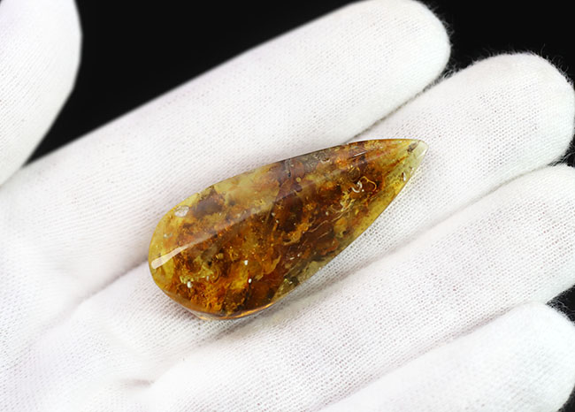 4000万年前の植物片や気泡を内包した、透明度の高いバルト海産琥珀(Amber)。美しい琥珀色を呈します(その3)