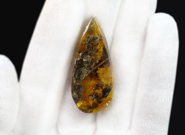 4000万年前の植物片や気泡を内包した、透明度の高いバルト海産琥珀(Amber)。美しい琥珀色を呈します(その7)
