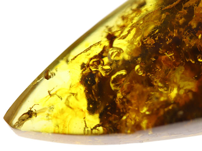4000万年前の植物片や気泡を内包した、透明度の高いバルト海産琥珀(Amber)。美しい琥珀色を呈します(その8)