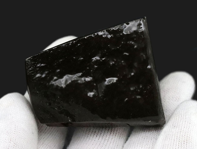 限られた地方でしか採集されない生物起源の宝石、アンモライト(Ammolite)のピース。素晴らしい発色にご注目ください!(その6)