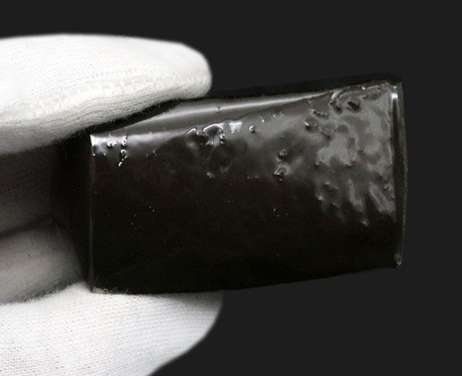 限られた地方でしか採集されない生物起源の宝石、アンモライト(Ammolite)のピース。素晴らしい発色にご注目ください!(その7)
