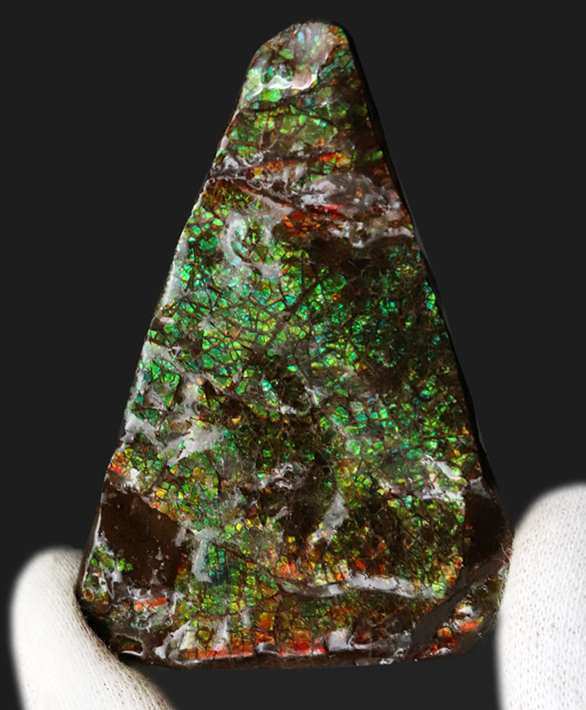グリーンドラゴン！美しい緑のクラックが魅力的な、宝石、アンモライト（Ammolite）のピース（その1）