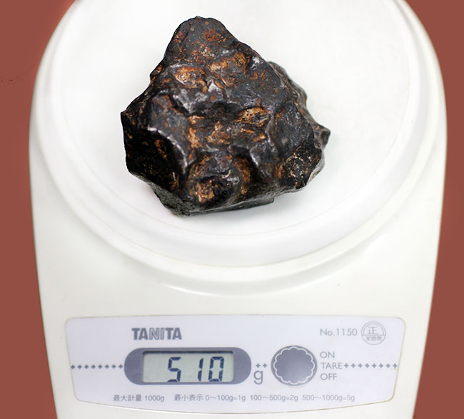 鉄隕石(Iron Meteorite)をコレクションしたい人に朗報!落下地点、落下年不詳ゆえ、お値打ち価格でのご紹介。(その10)