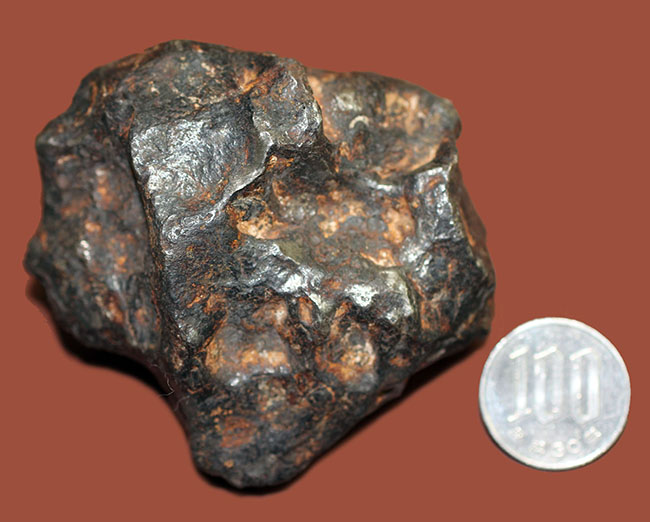 鉄隕石(Iron Meteorite)をコレクションしたい人に朗報!落下地点、落下年不詳ゆえ、お値打ち価格でのご紹介。(その11)