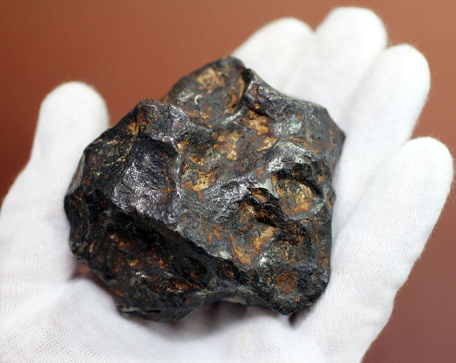 鉄隕石（Iron Meteorite）をコレクションしたい人に朗報！落下地点、落下年不詳ゆえ、お値打ち価格でのご紹介。（その2）