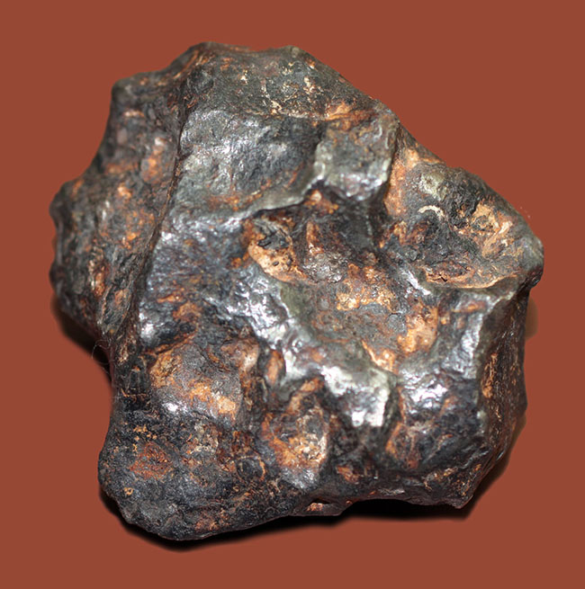 鉄隕石（Iron Meteorite）をコレクションしたい人に朗報！落下地点、落下年不詳ゆえ、お値打ち価格でのご紹介。（その4）